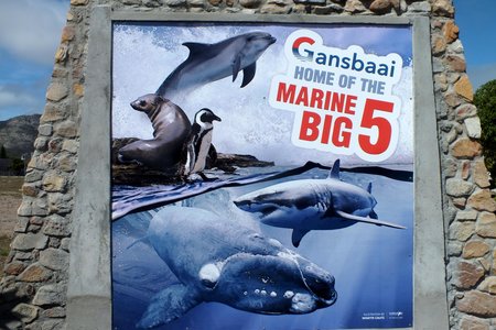 Die welkome en opgradeerde ingang na Gansbaai-dorp, met die uitbeelding van “Gansbaai Home of the Marine Big 5” op die muur links en die “Gansbaai Verwelkomings” op die muur regs